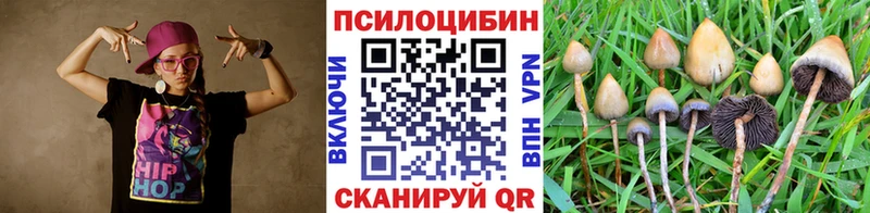 купить наркоту  Обь  Псилоцибиновые грибы мицелий 